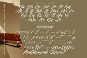 Romantic Mastery Modern Brush Script, a Script Font by stylishtype.co (Thumbnail 18 of 20)