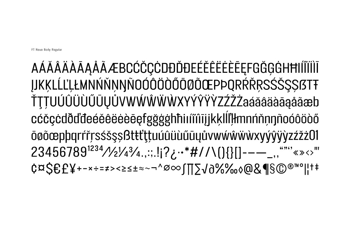 FT Neue Buddy - 5 Styles Sans Serif, a Sans Serif Font by fuzztype (Photo 11 of 15)