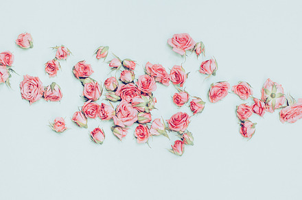 Pink little Roses, a Beauty & Fashion Photo by Jenya Porechenskaya