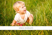 Grass overlays, an Object Graphic by ArtuscoDesign (Thumbnail 1 of 5)