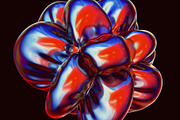 Bloom: Blossoming Spectra, an Object Graphic by RuleByArt (Thumbnail 8 of 16)