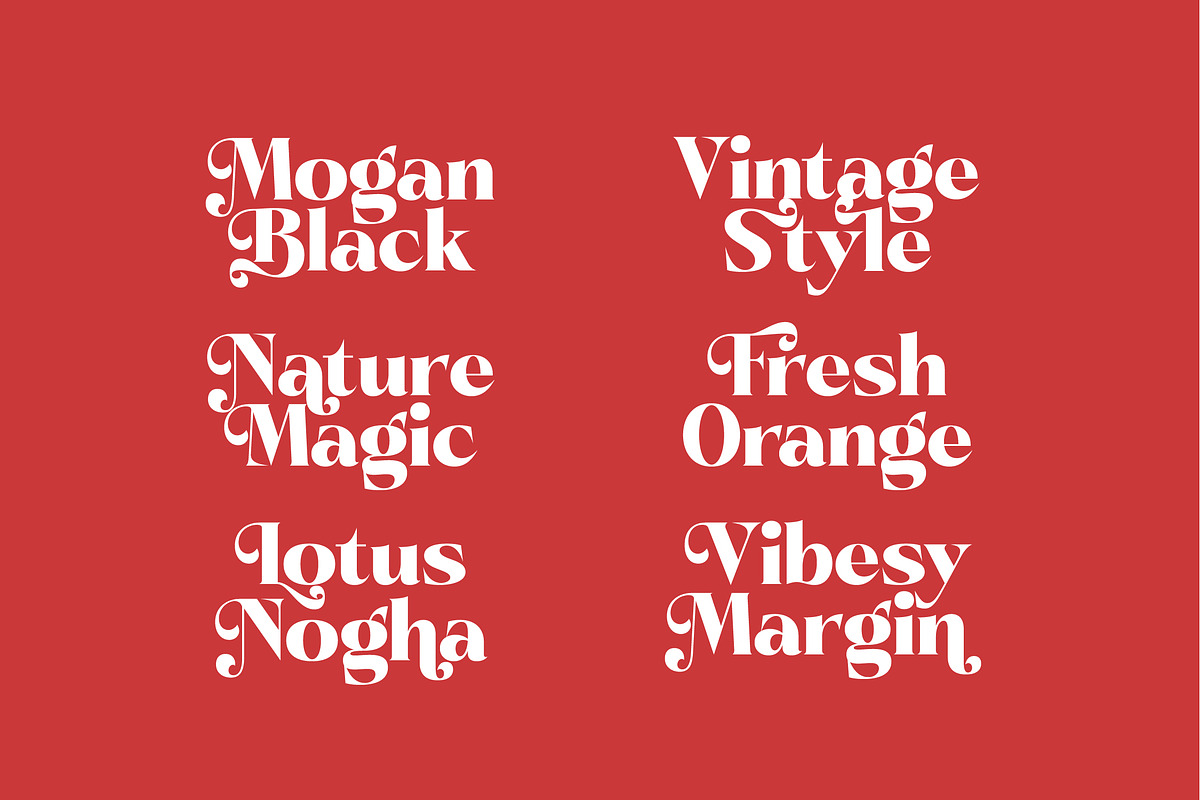 Pramid Mango Modern Display Serif, a Serif Font by timelesstype.co (Photo 13 of 20)