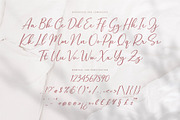 Halegio | Modern Calligraphy Font, a Script Font by Ariya Works (Thumbnail 11 of 11)