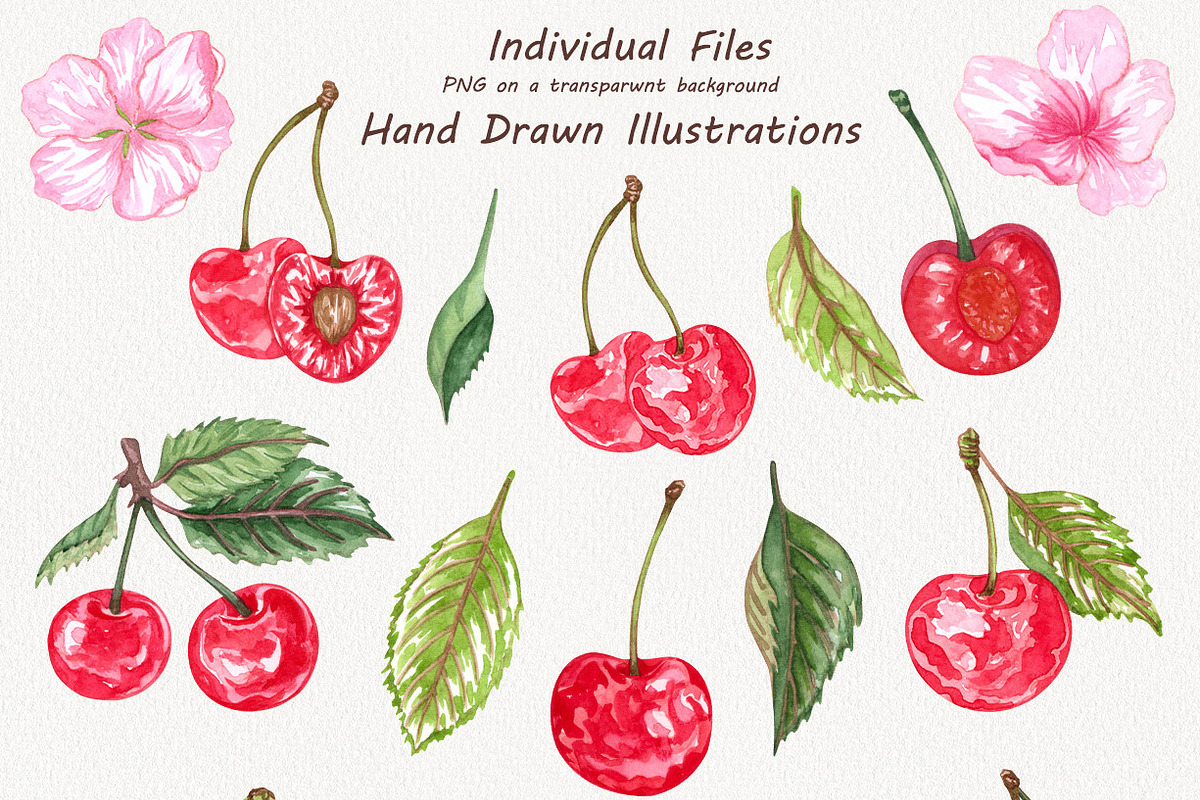 Cherry Watercolor Clipart, an Illustration by BarvArt (Photo 3 of 5)