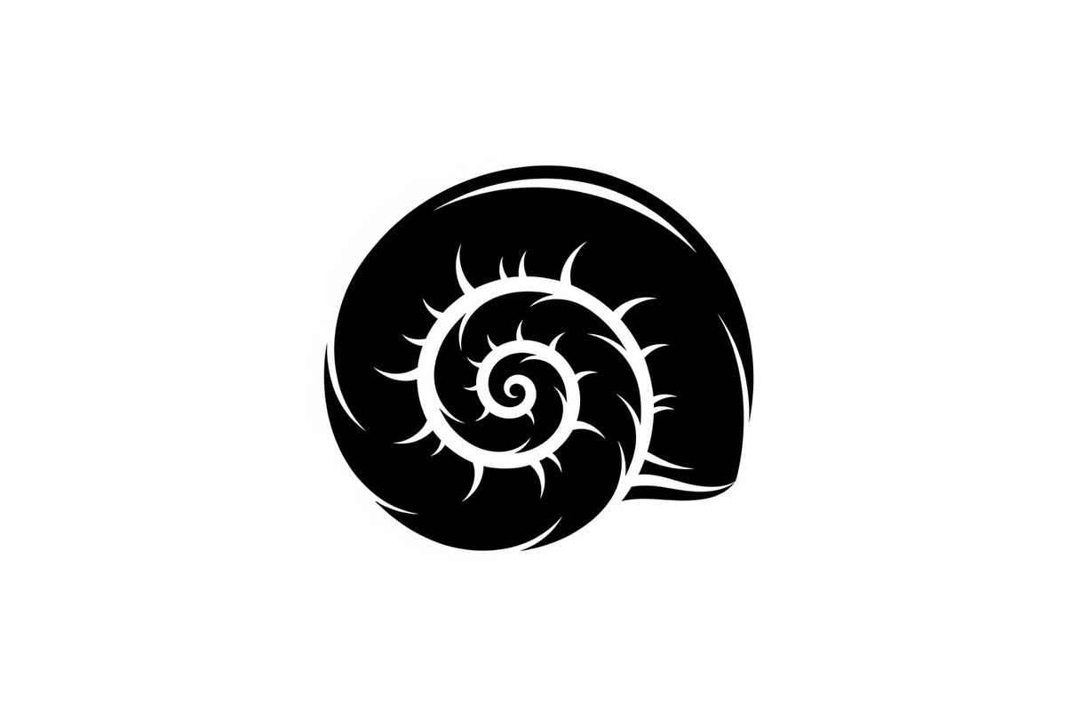 Spiral Seashell SVG Bundle, an Illustration by Gaye Art (Photo 9 of 31)
