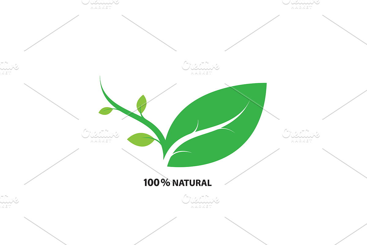 Green leaf ecology nature vector, a Branding & Logo Template by essense