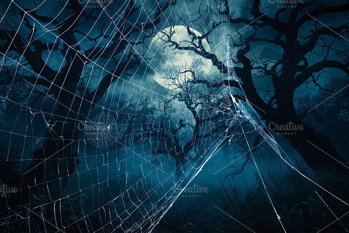 Spider Web Overlay Bundle, a Background Photo by M9 Design (Photo 5 of 10)