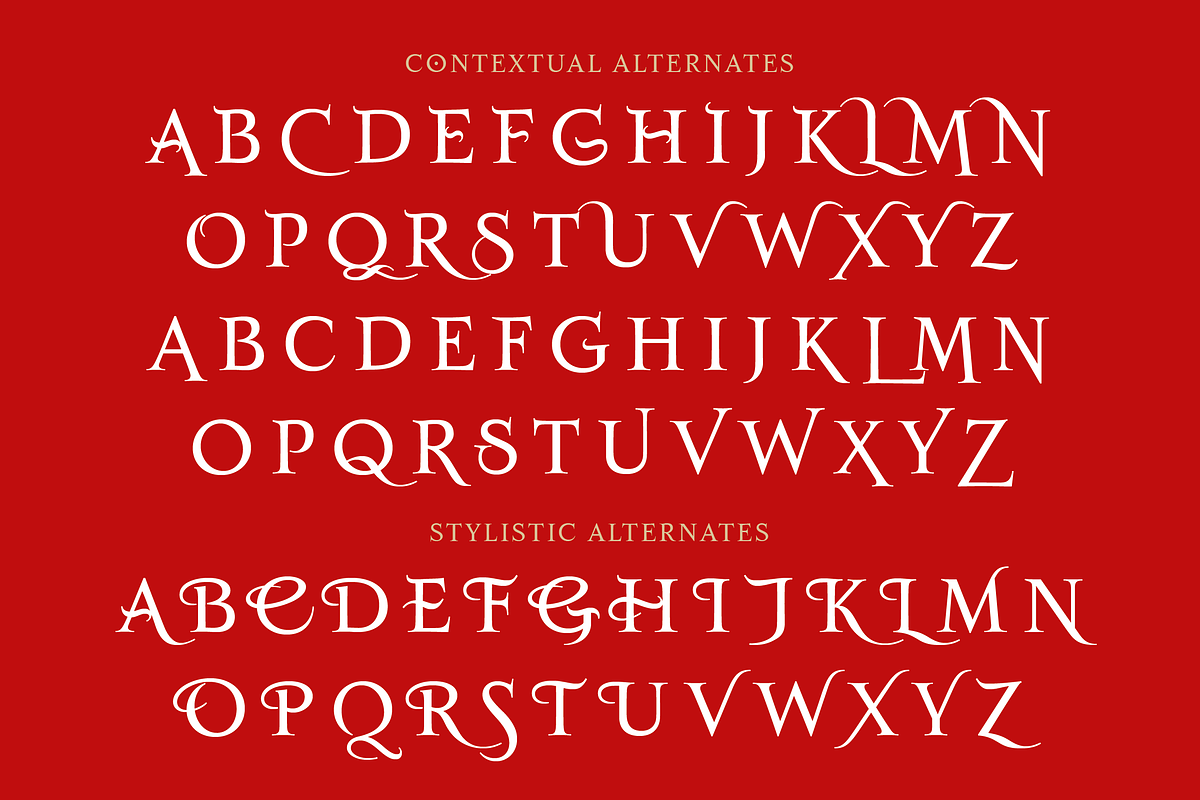 Salamanca TF Roman, a Serif Font by TypeFaith Fonts (Photo 9 of 12)