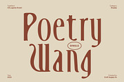 CS Lugenia Drawn, a Serif Font by Craft Supply Co. (Thumbnail 3 of 8)