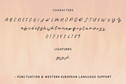 Ignited Script, a Handwritten Font by Beck McCormick (Thumbnail 10 of 10)