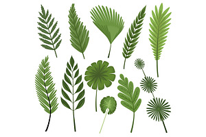 Tropical Leaves Collection. Vector