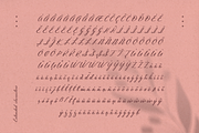 Inola Hand Lettered Font, a Script Font by Wild Ones (Thumbnail 10 of 12)