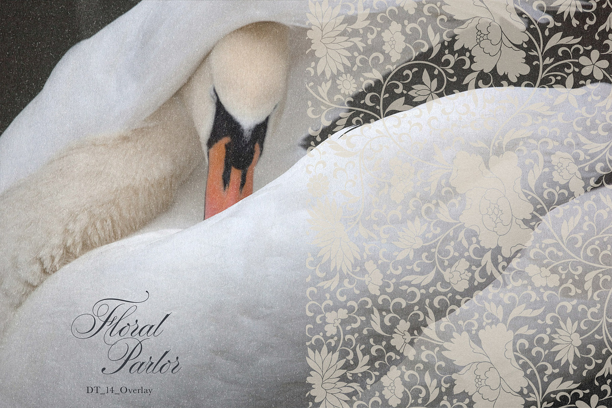 Vintage Floral Frames & Overlays, an Object Graphic by alonahaidash (Photo 7 of 19)