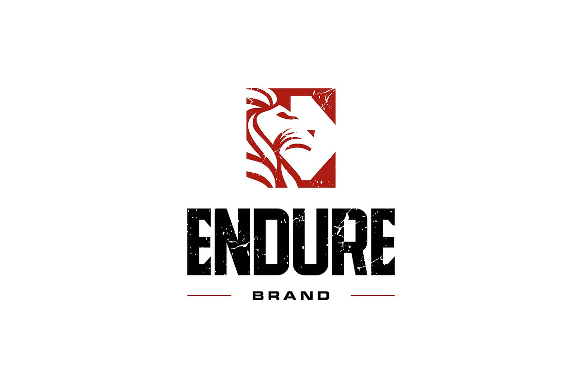 Endure Logo, a Branding & Logo Template by ZHR Creative