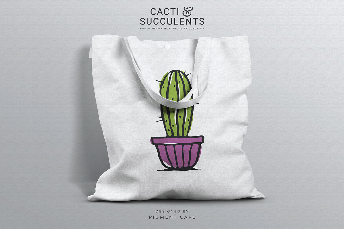 Cacti & Succulents Graphics Bundle, a Decorative Illustration by Pigment Café (Photo 5 of 7)
