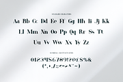 Emerald - Business Font, a Serif Font by RockboyStd (Thumbnail 9 of 12)