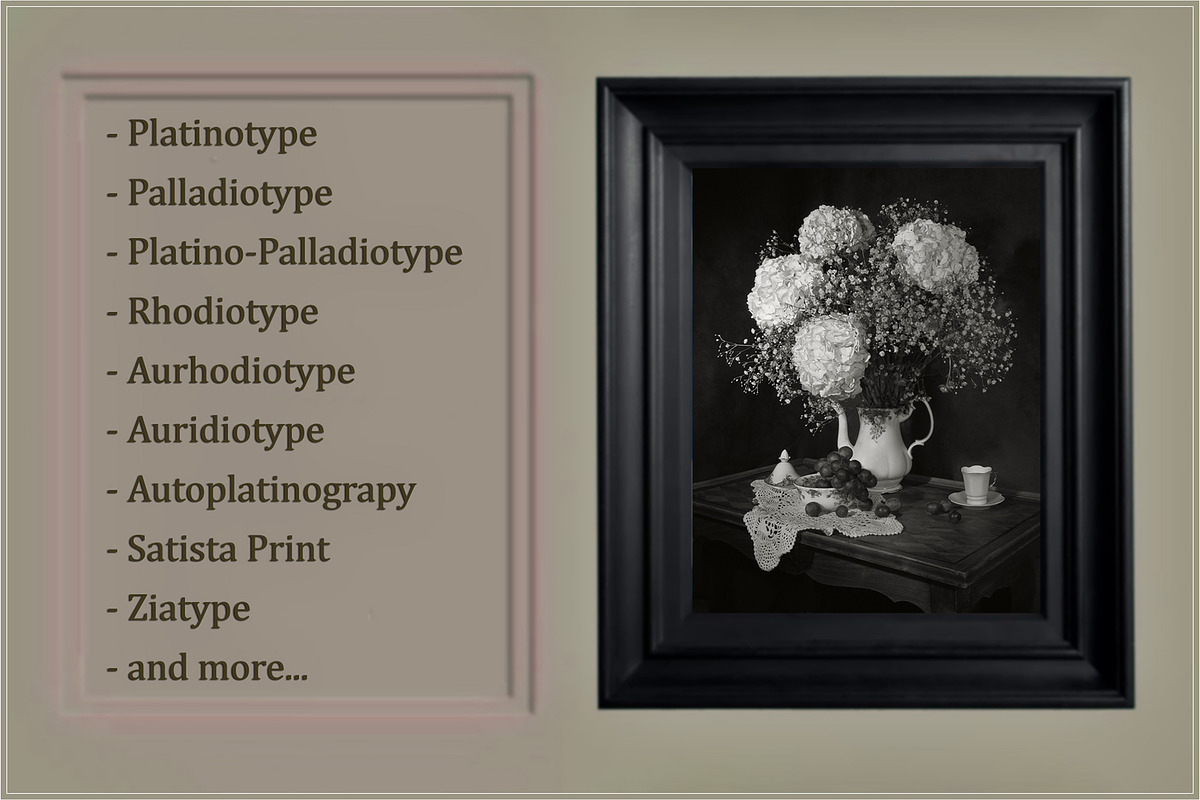 Platinum Palladium Prints LUTs, a Plug-in Add-On by Raztrend (Photo 2 of 32)