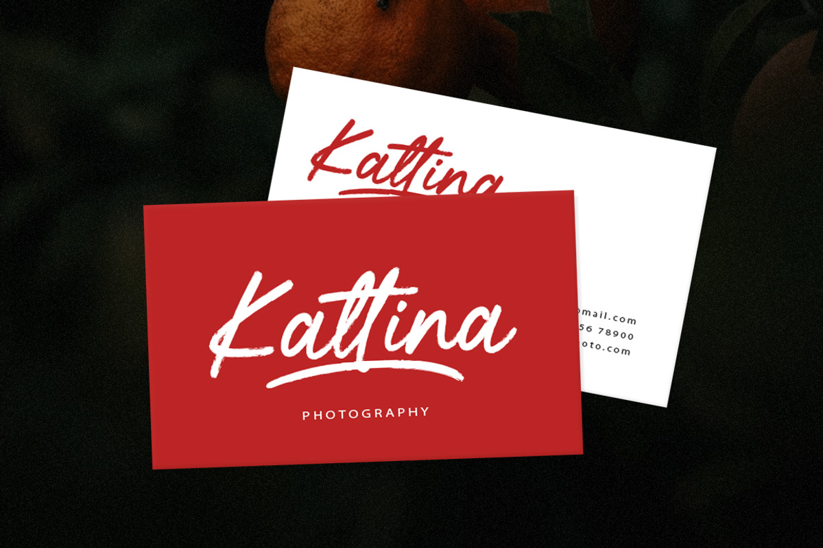 Delliday Brush Script, a Font by Haps Space (Photo 4 of 8)