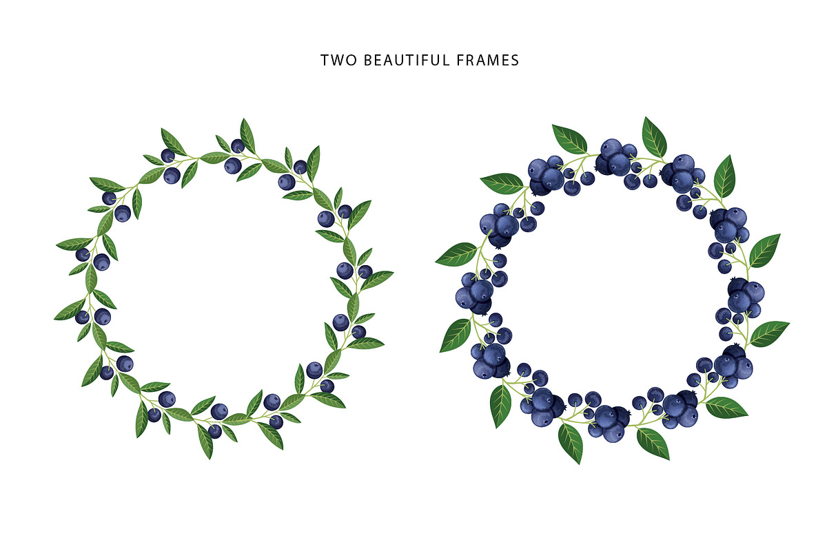 Delicious blueberries. Vector set., a Graphic by natamastery (Photo 4 of 7)