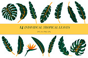 Tropical seamless patterns & leaves, a Pattern Graphic by EltaMaxArt (Thumbnail 13 of 15)
