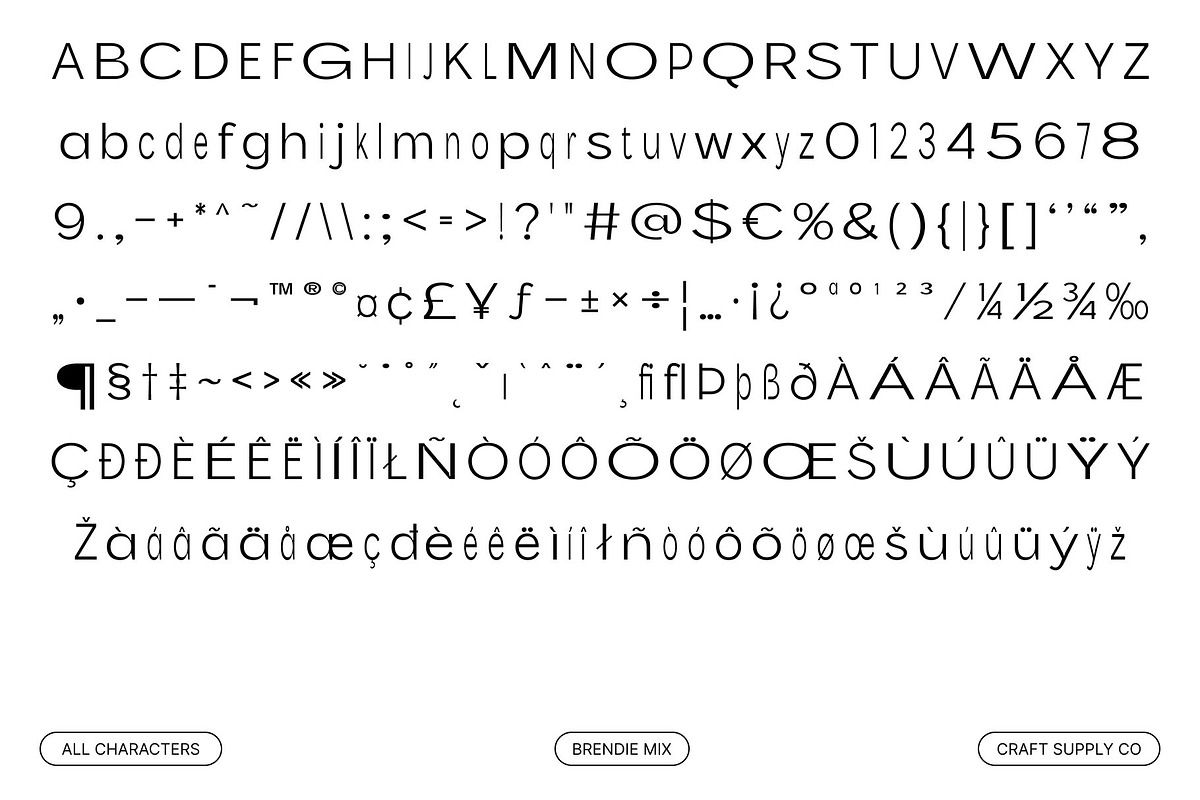 Brendie Mix, a Sans Serif Font by Craft Supply Co. (Photo 8 of 8)