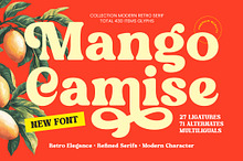 Mango Camise Modern Retro Serif