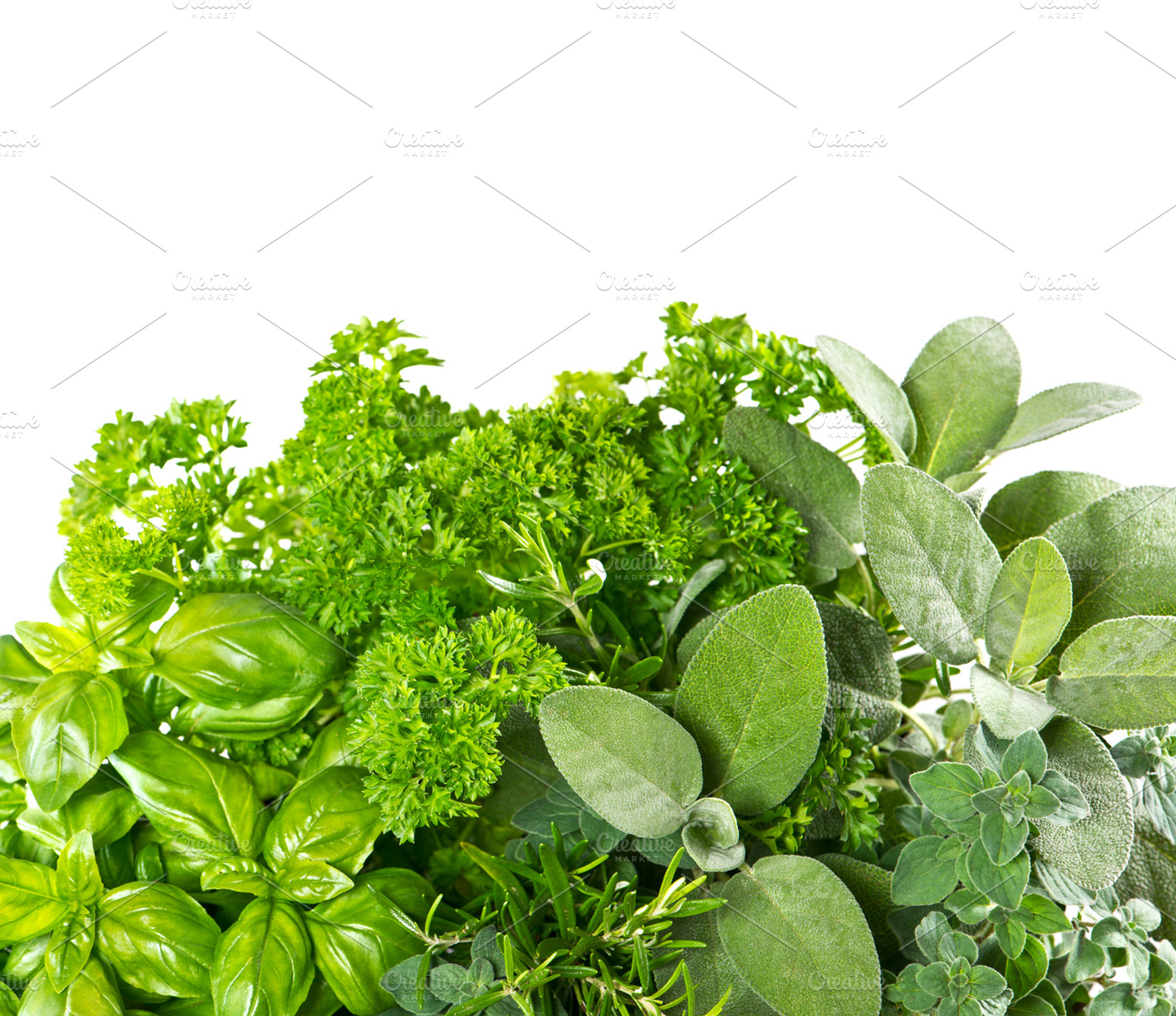 Fresh Herbs. Healthy food ingredient, a Food & Drink Photo by LiliGraphie