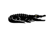 Crocodile Alligator Vector Bundle, an Illustration by jahid234 (Thumbnail 3 of 51)