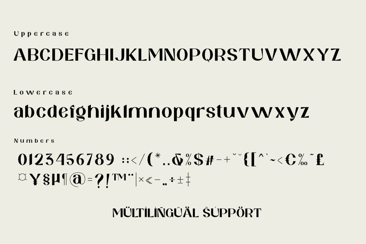 Canuas - Modern Serif Font, a Sans Serif Font by Cut Story (Photo 11 of 13)