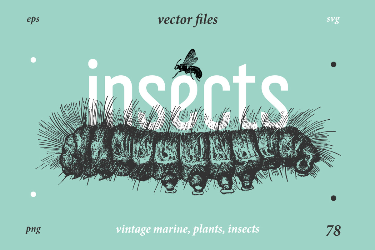 Vintage Bundle 2500+ Free Update, an Animal Illustration by Retro Machine (Photo 64 of 170)