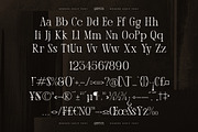 Qelenta - Modern Serif Font, a Serif Font by AmorfaType (Thumbnail 7 of 10)
