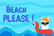 Summer Llama - Extra Llama Drawing, a Font by Dm Studio (Thumbnail 3 of 9)