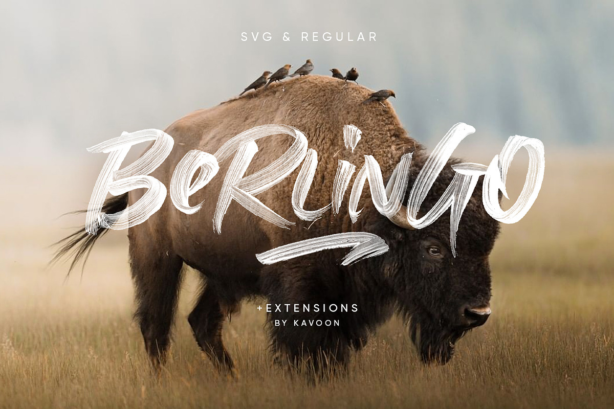Berlingo SVG