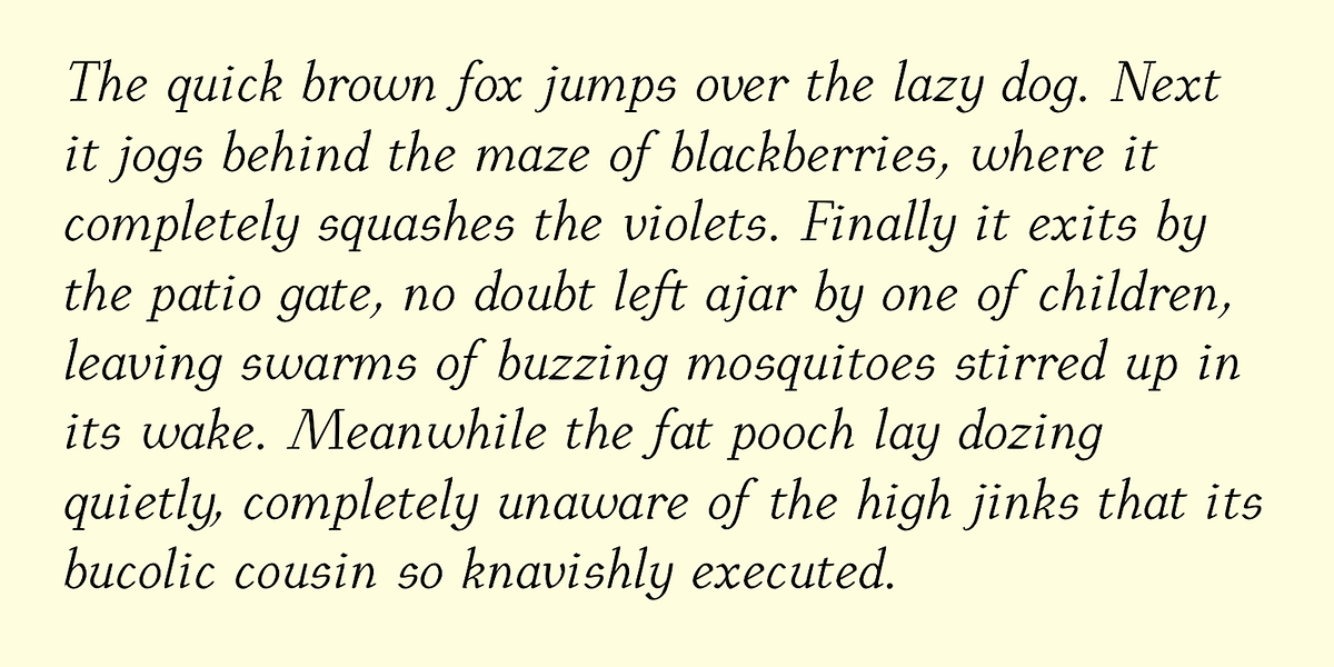 EuroikaKamp, a Serif Font by Ingrimayne Type (Photo 5 of 11)