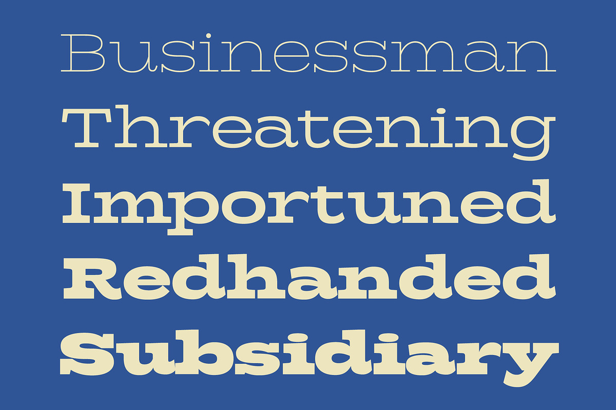 Girk - Variable Slab Serif, a Slab Serif Font by Adam Fathony (Photo 9 of 16)