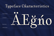 Cartes, a Serif Font by insigne (Thumbnail 3 of 5)