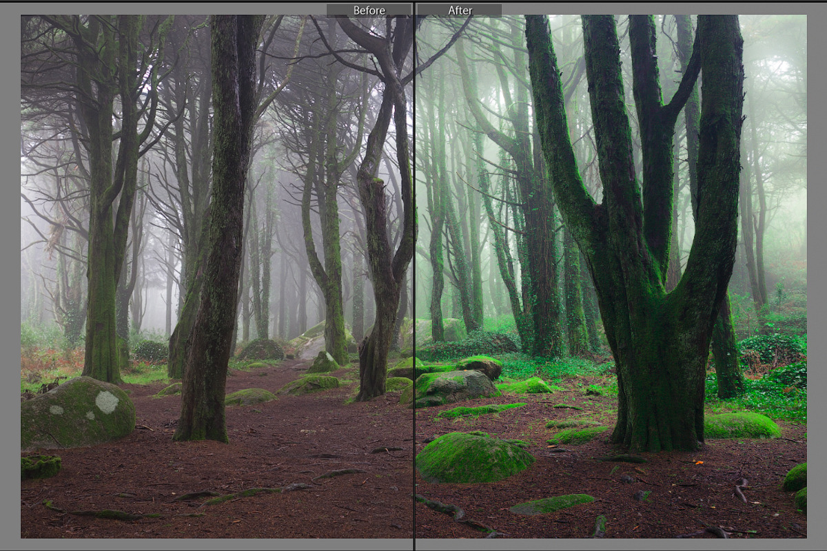 Magic woodland-SUMMER for Lightroom, an Action Add-On by khoroshkov (Photo 5 of 5)