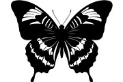 Elegant Butterfly Silhouette, an Object Graphic by Designer_Momina (Thumbnail 5 of 18)