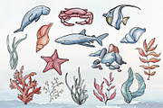 Sea Life. Line art and color, an Animal Illustration by DamriNa art (Thumbnail 8 of 10)