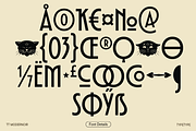 TT Modernoir, a Sans Serif Font by TypeType (Thumbnail 4 of 17)