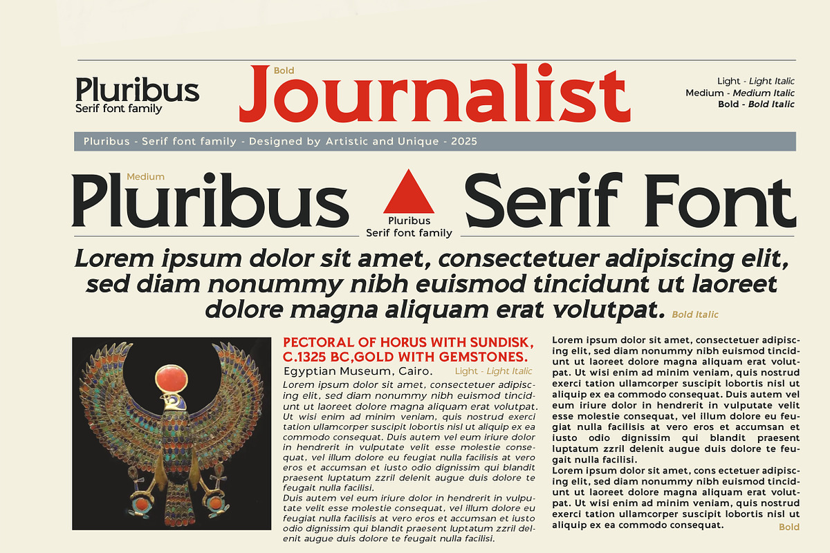 Pluribus - Serif font family, a Serif Font by Artistic & Unique (Photo 12 of 15)