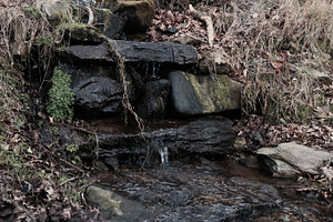 Stream