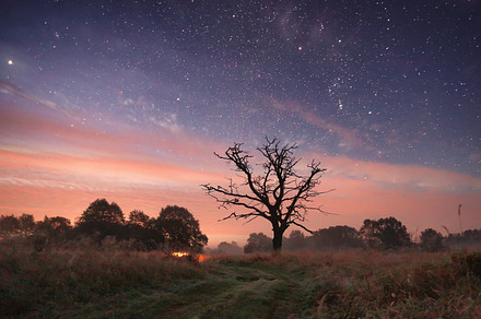 Starry sky over meadow at night, a Nature Photo by PixieMe