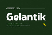 Gelantik - Modern Bold Sans Serif, a Sans Serif Font by Typeformers (Thumbnail 1 of 5)