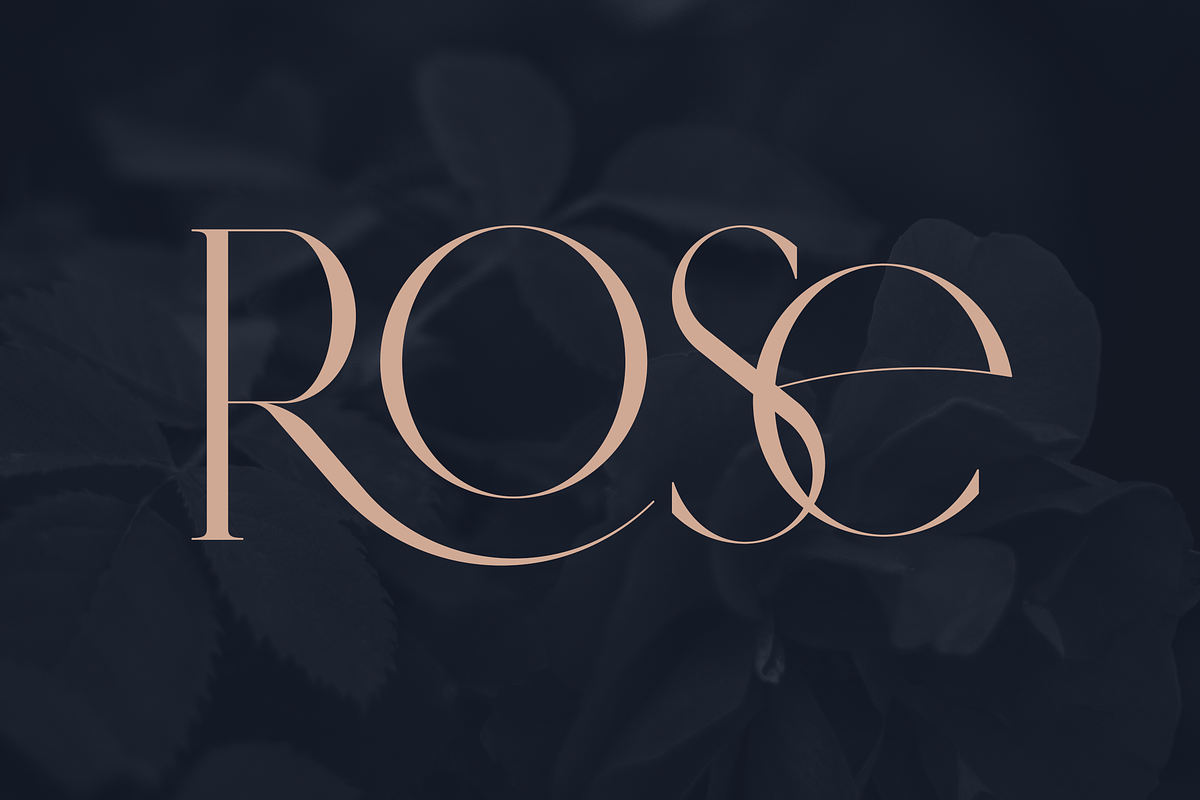 SALE! Type Master - serif font, a Serif Font by VP Fonts (Photo 15 of 24)