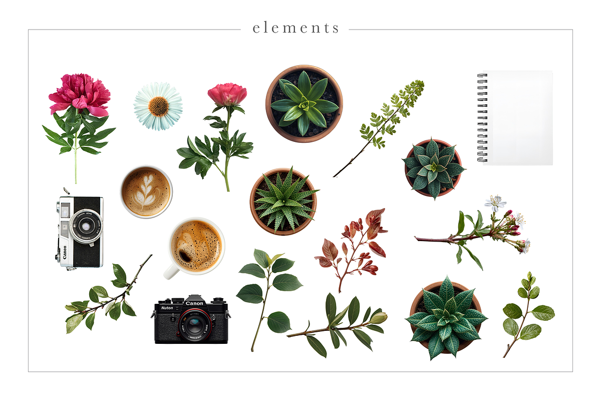 Canva Digital Product Mockups, a Marketing Template by Marigold Studios (Photo 9 of 11)