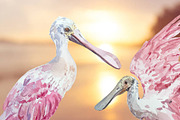 Roseate Spoonbill - Watercolor Print, an Illustration by Tati Bordiu (Thumbnail 4 of 4)