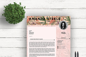 Flamingo CV / Resume Template / N