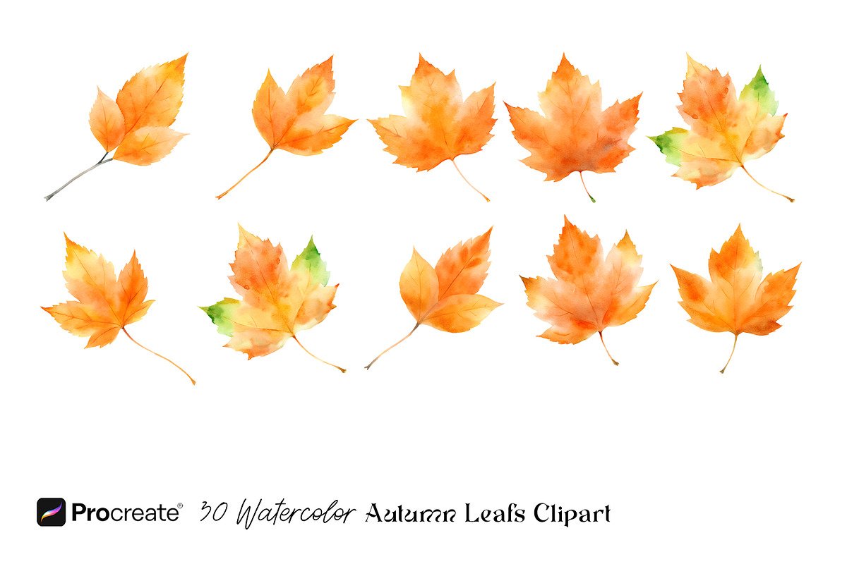 Watercolor Autumn Leaves Clipart, an Object Graphic by crafty (Photo 3 of 5)