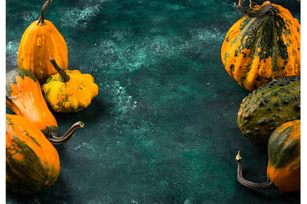 Various decorative pumpkin on green